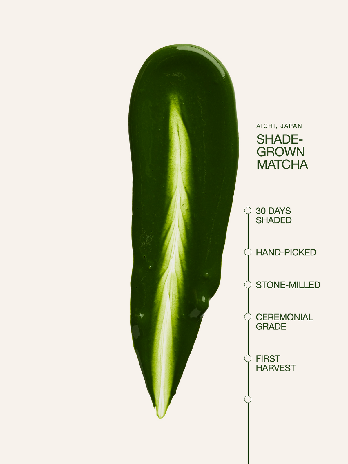 Shade-grown ceremonial matcha from Aichi, Japan